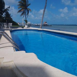 Cancun Ocean View Flamingo Plus